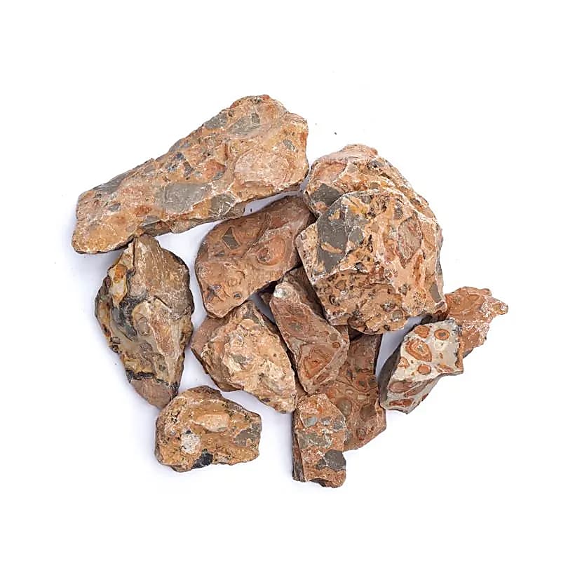 Leopardite 5cm - Loja Mística