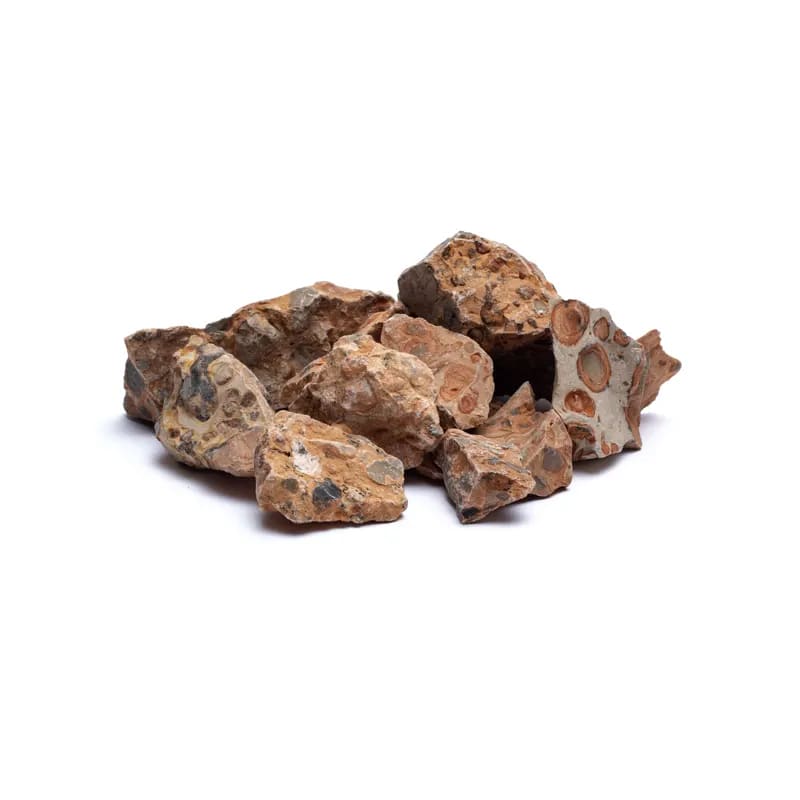 Leopardite 5cm - Loja Mística