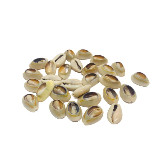 Búzios Abertos - 50gr - Loja Mística